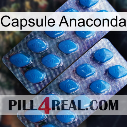 Anaconda Capsule viagra2
